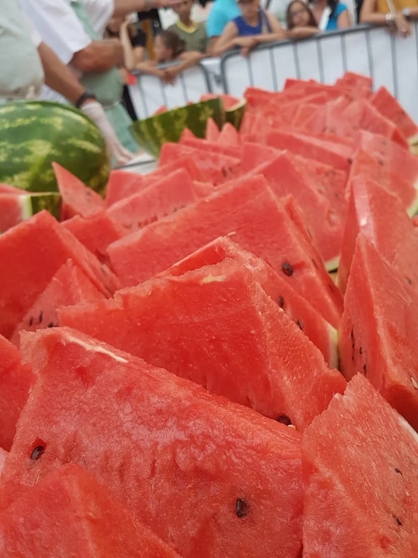 Gallery - Anguriata di Ferragosto - La Bacionela Club