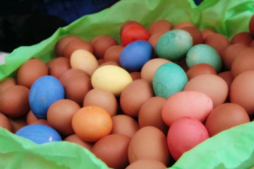 Gallery - Ovi Duri e Radic - La Bacionela Club